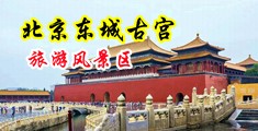 关于女生下面被男生的钉钉插入的视频中国北京-东城古宫旅游风景区